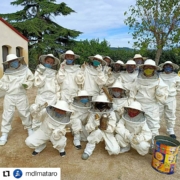 Equip abellaries a Can Parcala, Aula Apícola