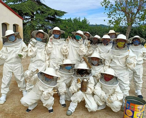 Equip abellaries a Can Parcala, Aula Apícola