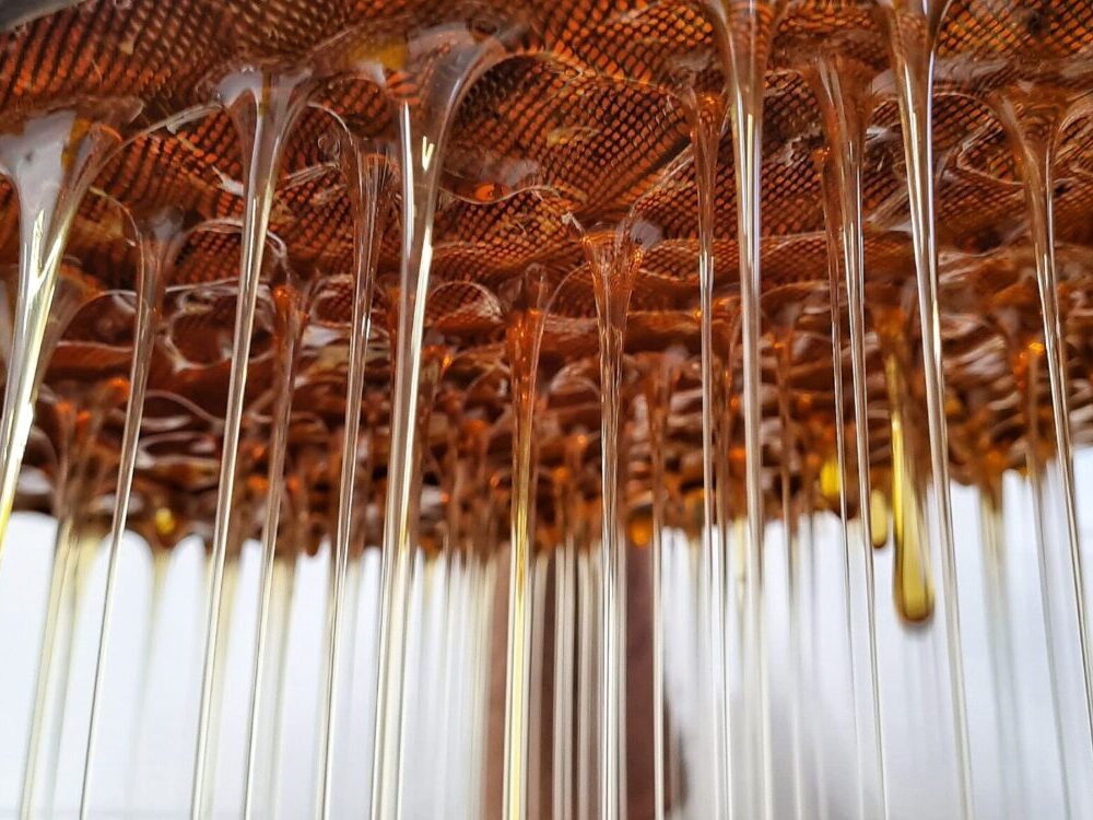 La mel de Can Parcala, disponible a la botiga solidària de la Fundació el Maresme.
